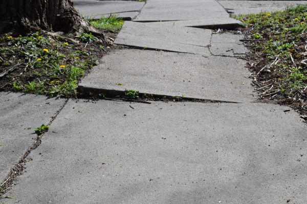 Cost of Trip Hazard Removal in Daphne